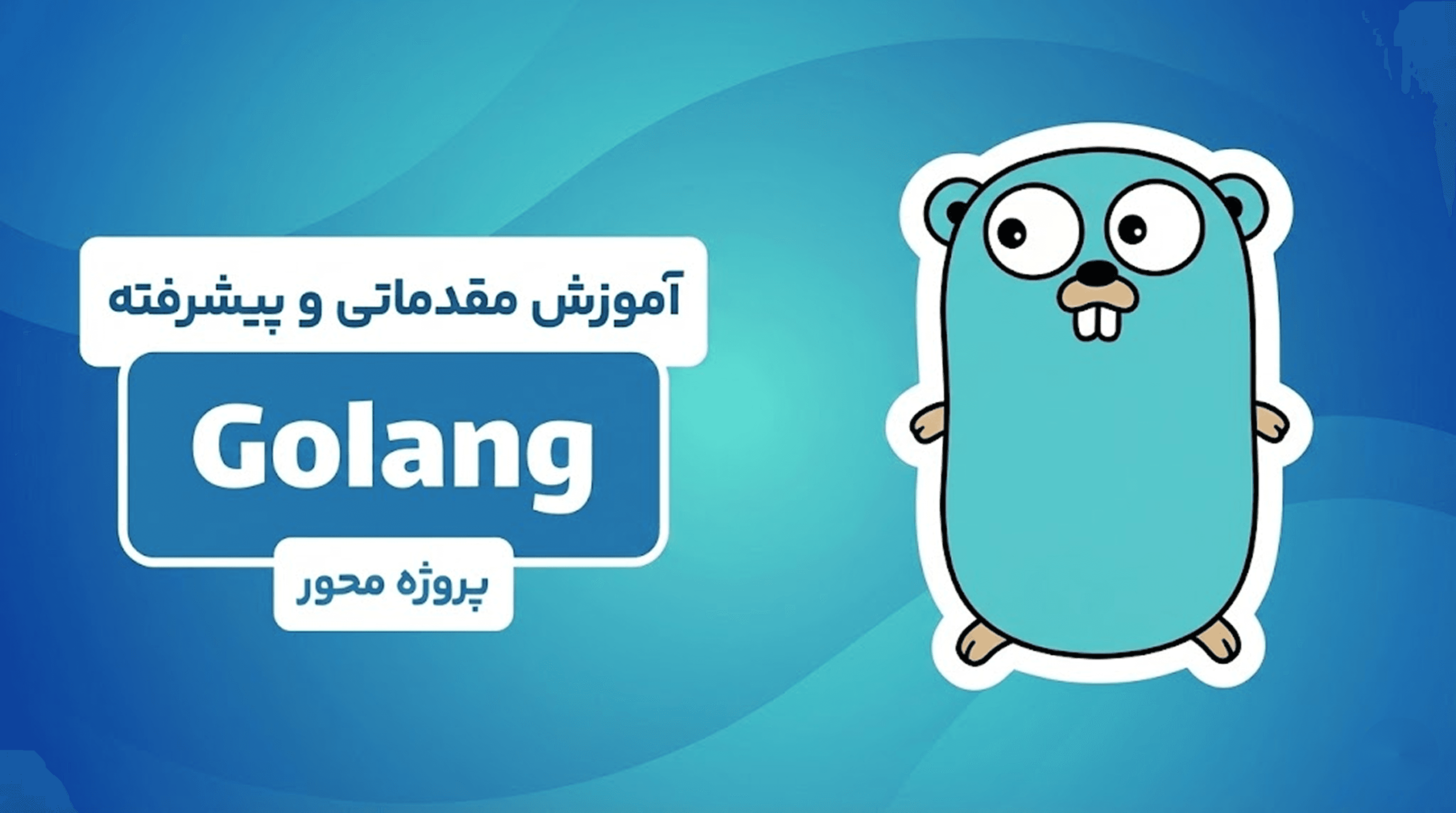 دوره جامع گولنگ (Go) | از مقدماتی تا پیشرفته 